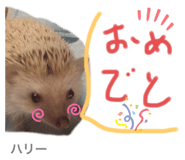 219927892