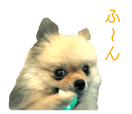 220029158