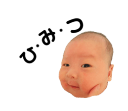 220176540