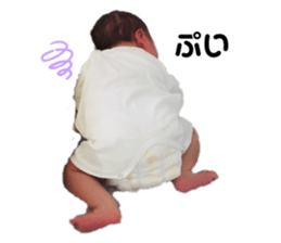 220176546