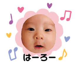220176550