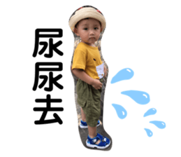 220194431