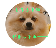 220227155