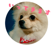 220227159