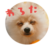 220227162