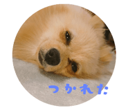 220227165