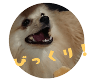 220227168