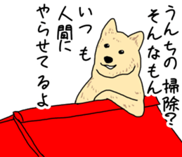 220229481