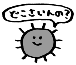 2202797
