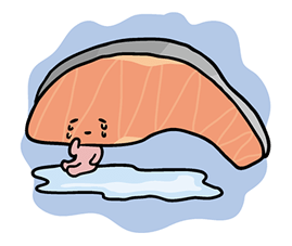 KIRIMIchan. รูปที่ 33