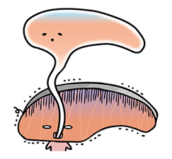 KIRIMIchan. รูปที่ 35