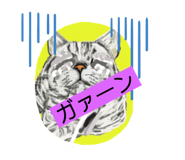 220528259