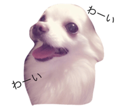 22065705
