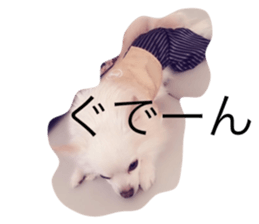 22065710