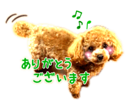 220700235