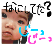 22070535
