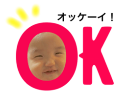 22077564