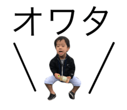 22080459