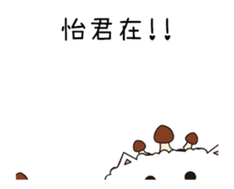 220818416