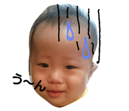 22084816