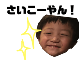 220886529