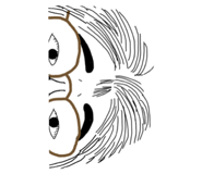 221294964