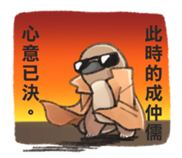 221374509