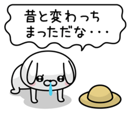 221399456