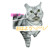 22155990