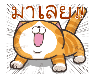 เหมียวซ่ากวนกำลังสอง รูปที่ 1