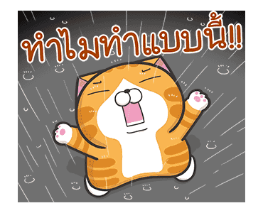 เหมียวซ่ากวนกำลังสอง รูปที่ 6