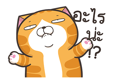 เหมียวซ่ากวนกำลังสอง รูปที่ 11