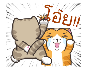 เหมียวซ่ากวนกำลังสอง รูปที่ 12