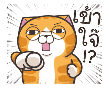 เหมียวซ่ากวนกำลังสอง รูปที่ 13