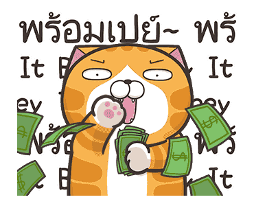 เหมียวซ่ากวนกำลังสอง รูปที่ 14