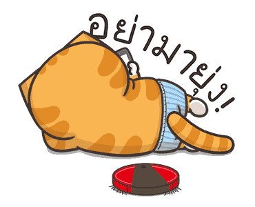 เหมียวซ่ากวนกำลังสอง รูปที่ 15
