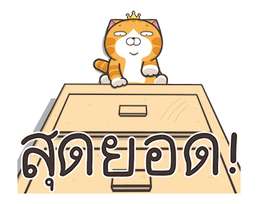 เหมียวซ่ากวนกำลังสอง รูปที่ 16