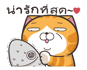 เหมียวซ่ากวนกำลังสอง รูปที่ 18