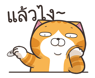 เหมียวซ่ากวนกำลังสอง รูปที่ 20