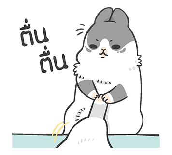มาจิโกะ กระโดดโลดเต้น รูปที่ 5