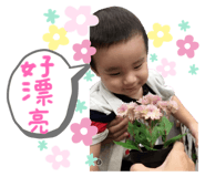 221674110