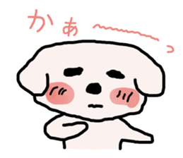 2216906