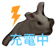 221948334