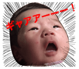 22195801