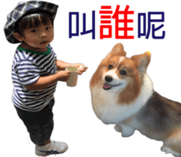 221971838