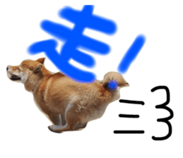 22201799