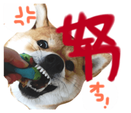 22201800
