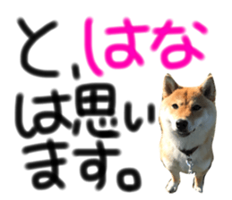 22201809