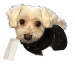 222042536