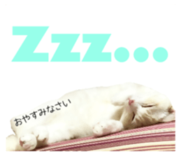 222051199